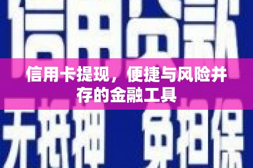 雨山信用卡提现，便捷与风险并存的金融工具
