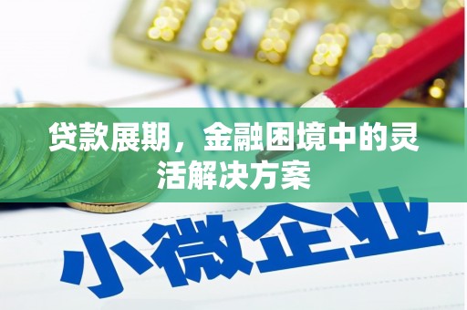 雨山贷款展期，金融困境中的灵活解决方案