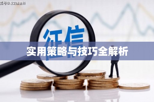 雨山实用策略与技巧全解析
