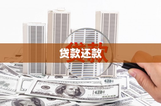 雨山贷款还款
