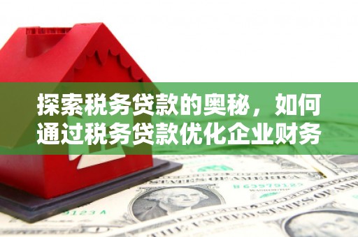 雨山探索税务贷款的奥秘，如何通过税务贷款优化企业财务