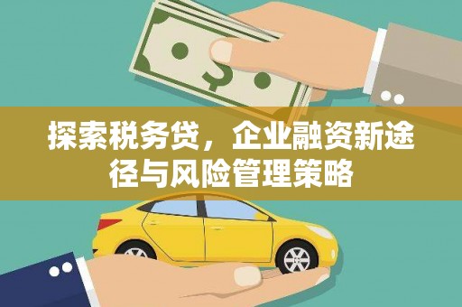 雨山探索税务贷，企业融资新途径与风险管理策略