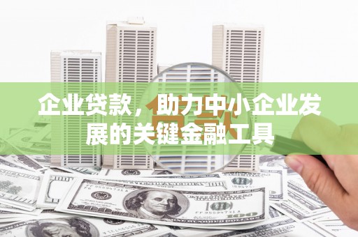 雨山企业贷款，助力中小企业发展的关键金融工具