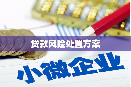 雨山贷款风险处置方案