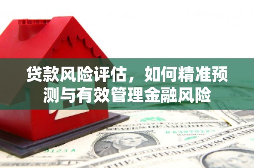 雨山贷款风险评估，如何精准预测与有效管理金融风险