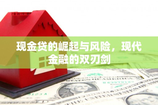 雨山现金贷的崛起与风险，现代金融的双刃剑