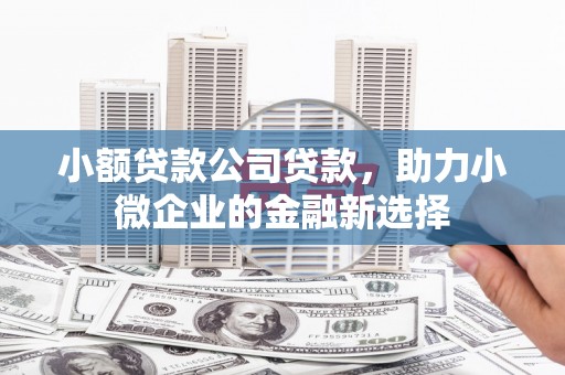 雨山小额贷款公司贷款，助力小微企业的金融新选择