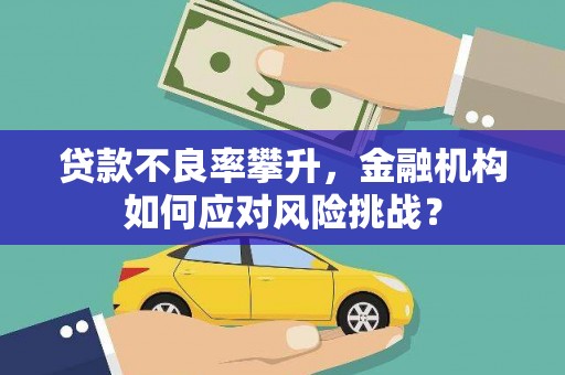 雨山贷款不良率攀升，金融机构如何应对风险挑战？
