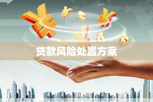 雨山贷款风险处置方案