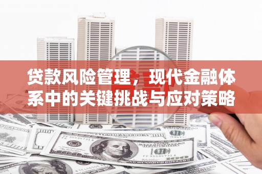 雨山贷款风险管理，现代金融体系中的关键挑战与应对策略