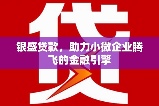 雨山银盛贷款，助力小微企业腾飞的金融引擎