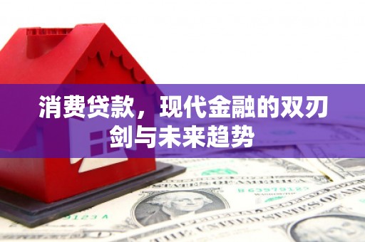 雨山消费贷款，现代金融的双刃剑与未来趋势