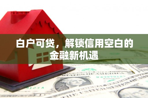 雨山白户可贷，解锁信用空白的金融新机遇