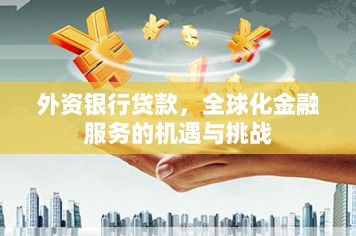 雨山外资银行贷款，全球化金融服务的机遇与挑战