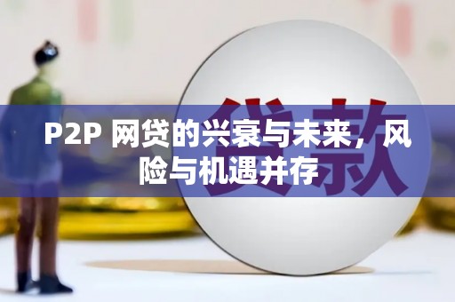 雨山P2P 网贷的兴衰与未来，风险与机遇并存