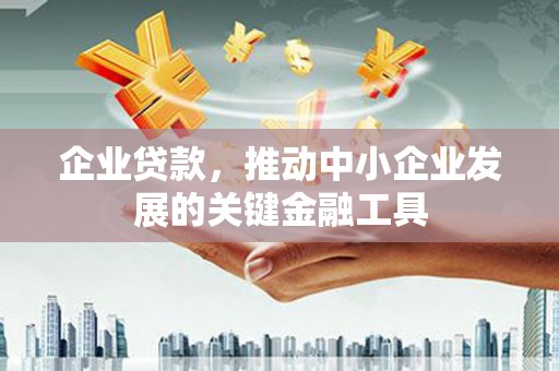 雨山企业贷款，推动中小企业发展的关键金融工具