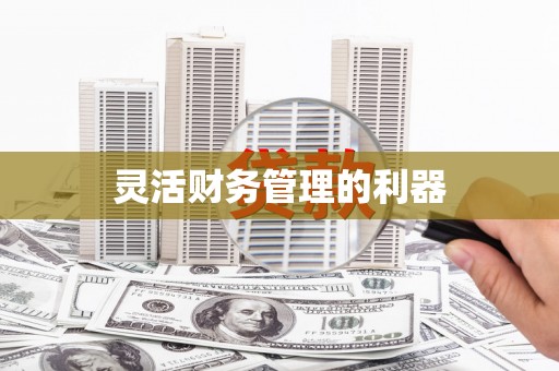 雨山灵活财务管理的利器