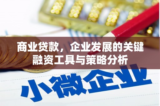 雨山商业贷款，企业发展的关键融资工具与策略分析