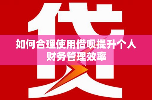 雨山如何合理使用借呗提升个人财务管理效率