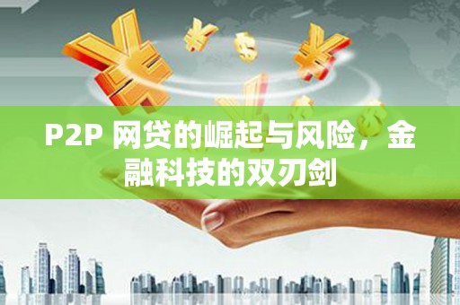 雨山P2P 网贷的崛起与风险，金融科技的双刃剑