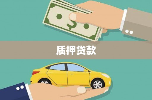 雨山质押贷款