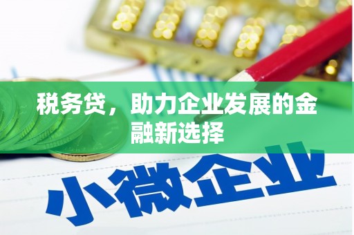 雨山税务贷，助力企业发展的金融新选择