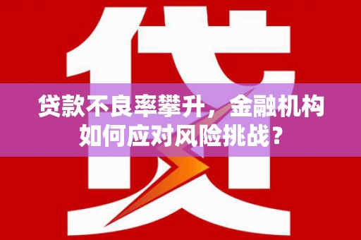 雨山贷款不良率攀升，金融机构如何应对风险挑战？