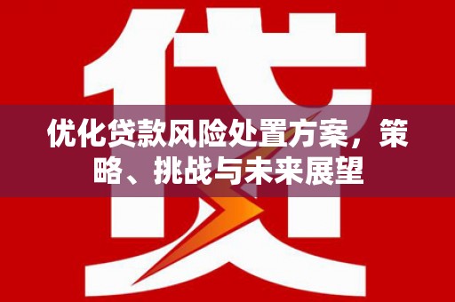 雨山优化贷款风险处置方案，策略、挑战与未来展望