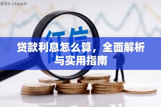 雨山贷款利息怎么算，全面解析与实用指南