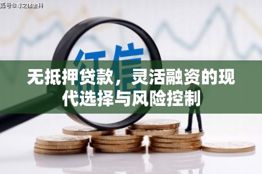 雨山无抵押贷款，灵活融资的现代选择与风险控制