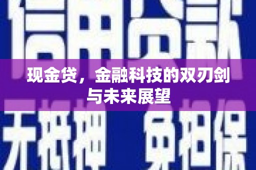 雨山现金贷，金融科技的双刃剑与未来展望