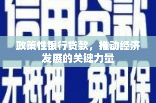 雨山政策性银行贷款，推动经济发展的关键力量