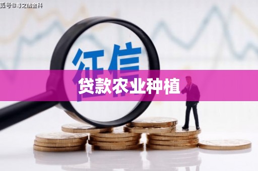 雨山贷款农业种植