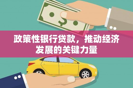 雨山政策性银行贷款，推动经济发展的关键力量