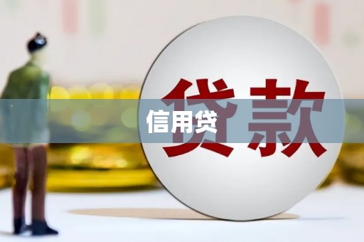 雨山信用贷