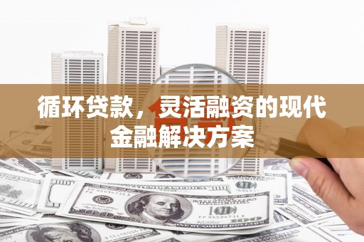 雨山循环贷款，灵活融资的现代金融解决方案