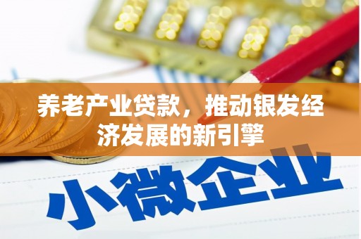 雨山养老产业贷款，推动银发经济发展的新引擎