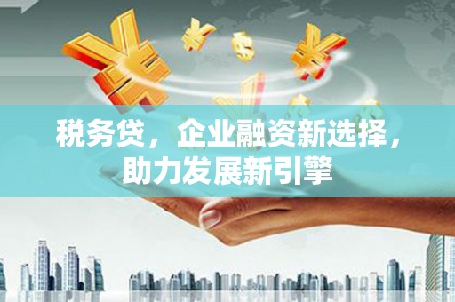 雨山税务贷，企业融资新选择，助力发展新引擎