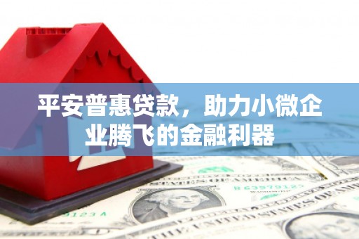 雨山平安普惠贷款，助力小微企业腾飞的金融利器