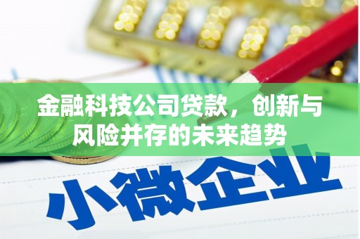 雨山金融科技公司贷款，创新与风险并存的未来趋势