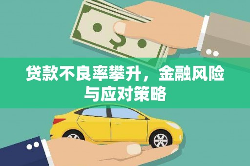 雨山贷款不良率攀升，金融风险与应对策略
