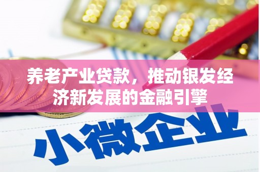 雨山养老产业贷款，推动银发经济新发展的金融引擎