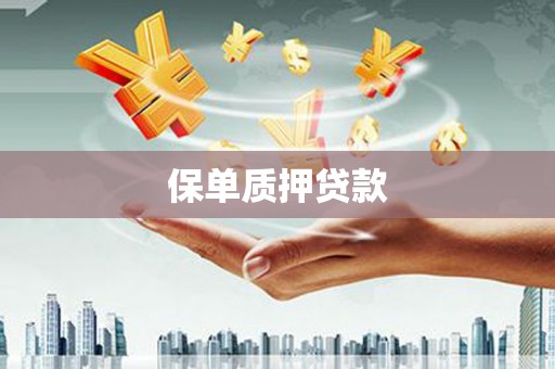 雨山保单质押贷款