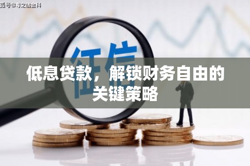 雨山低息贷款，解锁财务自由的关键策略
