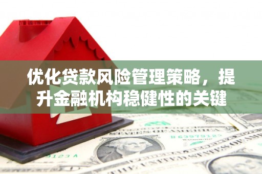 雨山优化贷款风险管理策略，提升金融机构稳健性的关键