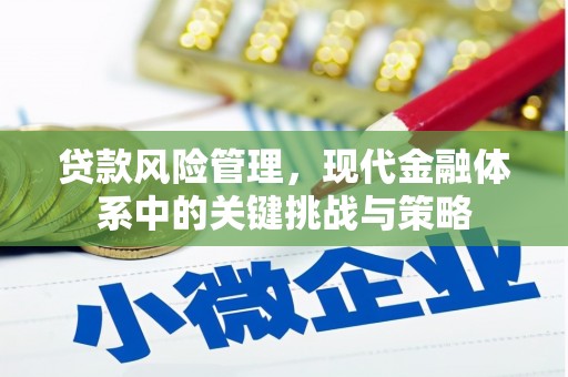 雨山贷款风险管理，现代金融体系中的关键挑战与策略