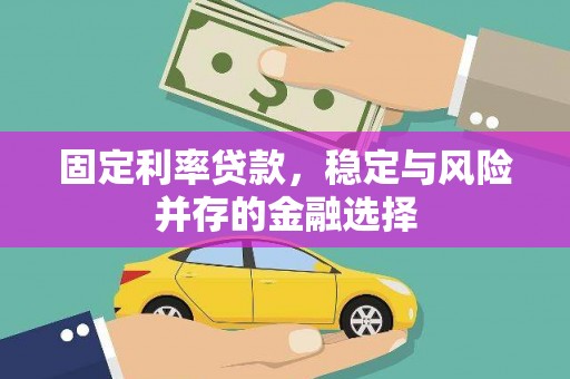 雨山固定利率贷款，稳定与风险并存的金融选择