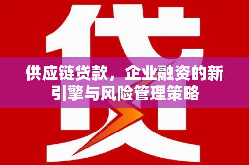雨山供应链贷款，企业融资的新引擎与风险管理策略