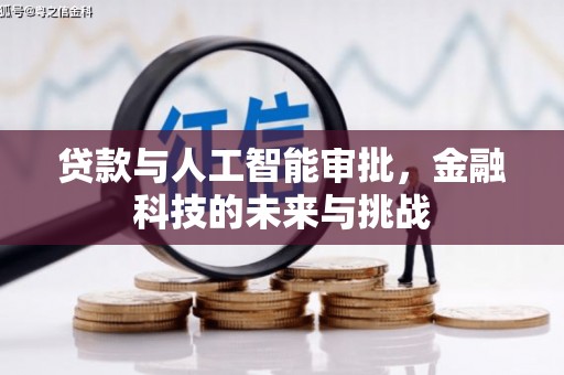 雨山贷款与人工智能审批，金融科技的未来与挑战