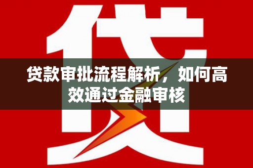 雨山贷款审批流程解析，如何高效通过金融审核